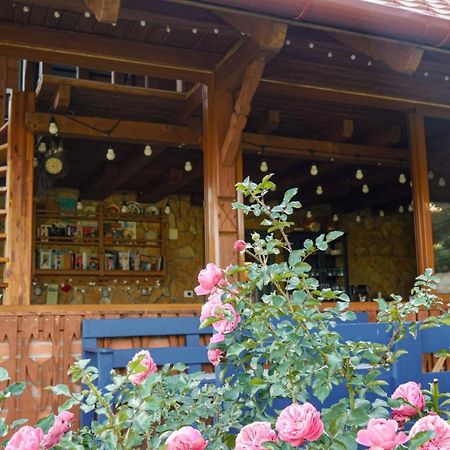 לינה וארוחת בוקר Valea Tirnei Rose Hip Hill Farm מראה חיצוני תמונה