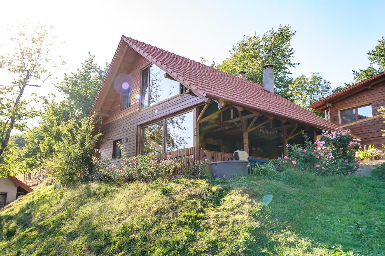 לינה וארוחת בוקר Valea Tirnei Rose Hip Hill Farm מראה חיצוני תמונה