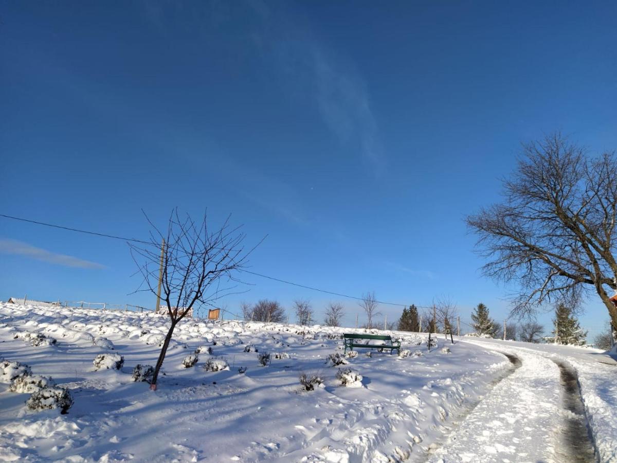 לינה וארוחת בוקר Valea Tirnei Rose Hip Hill Farm מראה חיצוני תמונה