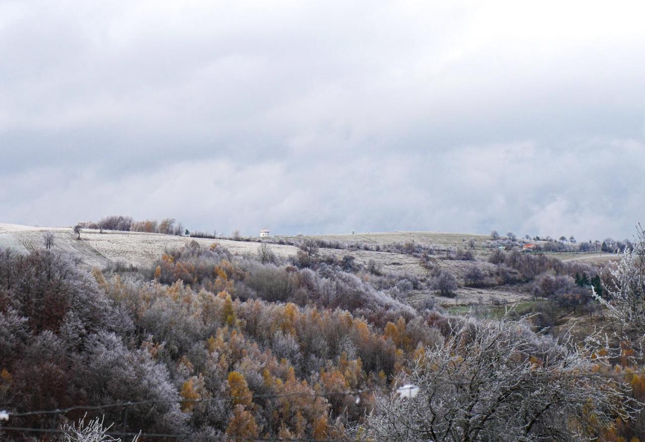 לינה וארוחת בוקר Valea Tirnei Rose Hip Hill Farm מראה חיצוני תמונה
