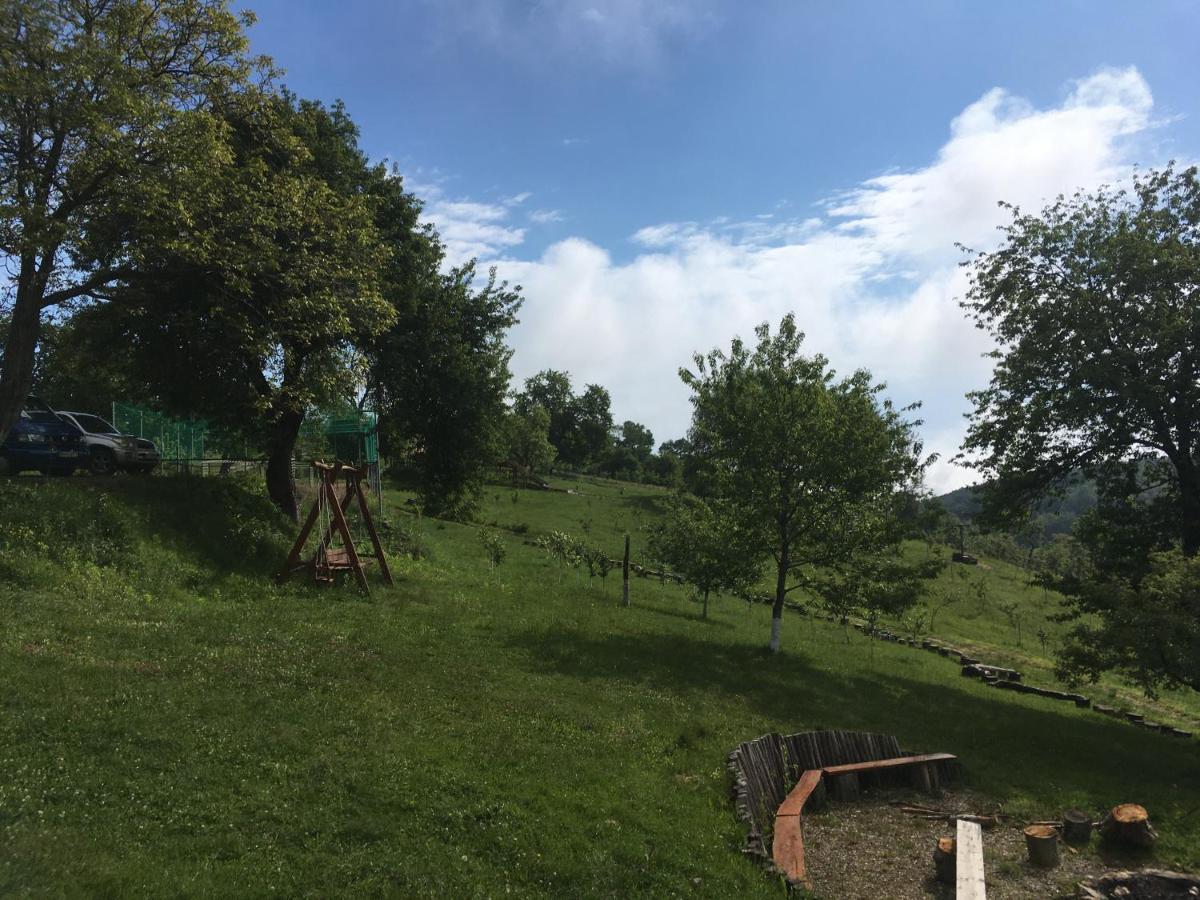 לינה וארוחת בוקר Valea Tirnei Rose Hip Hill Farm מראה חיצוני תמונה