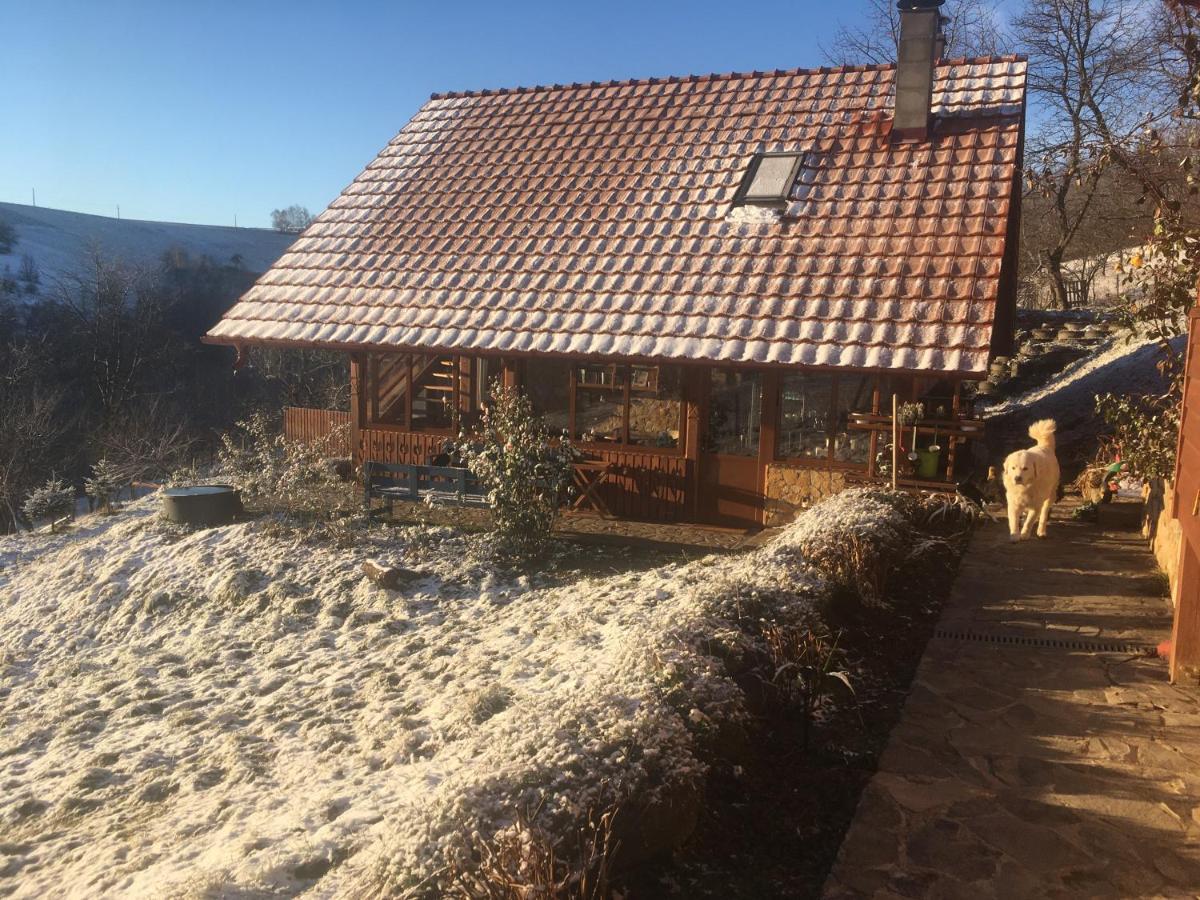 לינה וארוחת בוקר Valea Tirnei Rose Hip Hill Farm מראה חיצוני תמונה